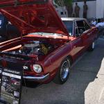 DSC_0147_00104 (October 07, 2023)